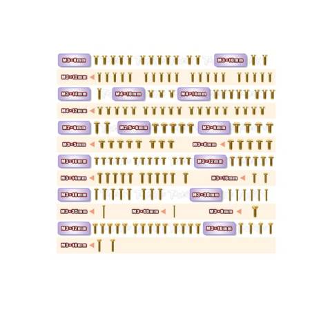 Gold Plated Steel Screw Set 130pcs. ( For Xray XB8 2023 )