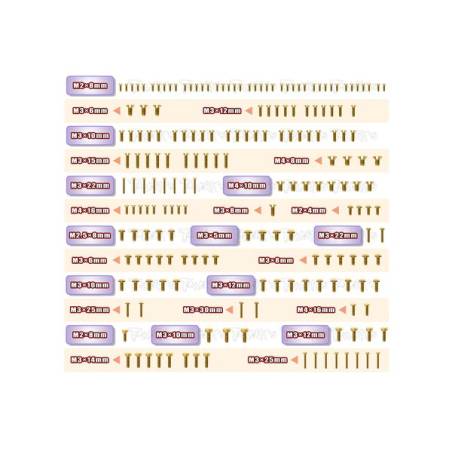 Gold Plated Steel Screw Set 193pcs. ( For Mayako MX8)