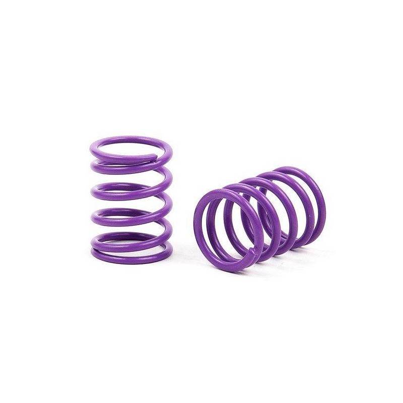 XRAY SPRING-SET C 5.0 - MEDIUM - FRONT (2) - XRAY XRAY SPRING-SET C 5.0 - MEDIUM - FRONT (2) - XRAY