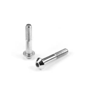 STEEL BRAKE PAD GUIDE PIN SCREW M3x16 (2) - XRAY - 354180