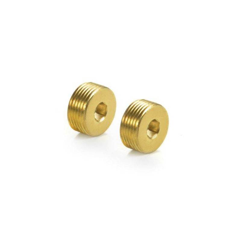 BRASS ADJUSTING NUT M15x1 (2) - 357253 - XRAY BRASS ADJUSTING NUT M15x1 (2) - 357253 - XRAY