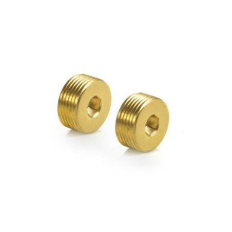 BRASS ADJUSTING NUT M15x1 (2) - XRAY