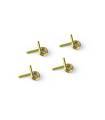 4-SHOE CLUTCH SPRINGS - GOLD - SOFT (4) - XRAY