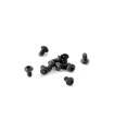 HEX SCREW SH M2.5x4 (10) - 902254 - XRAY