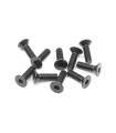 HEX SCREW SFH M3x10 (10) - 903310 - XRAY