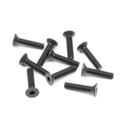HEX SCREW SFH M3x14  (10) - XRAY