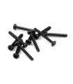 SCREW PHILLIPS 2.2x14 (10) - XRAY