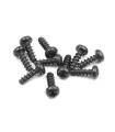 SCREW PHILLIPS 2.5x8 (10) - 905258 - XRAY