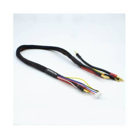 CABLE CARGA 2x2S DE 60 cm CON CONECTORES 4/5mm