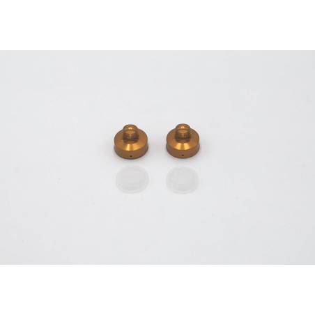 Fastrace 4 holes Cap with Honeycomb membrane RC8B3/3.1 WC (2) - FR604