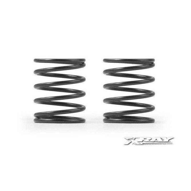 XRAY 4S SPRING-SET C 2.5 (2) - 308275 - XRAY XRAY 4S SPRING-SET C 2.5 (2) - 308275 - XRAY