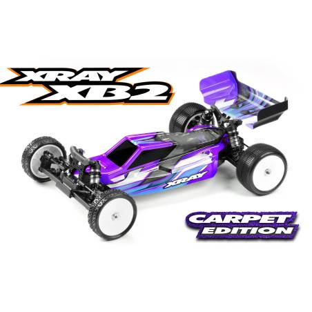 XRAY XB2C'24 - 2WD 1/10 ELECTRIC OFF-ROAD CAR CARPET - XRAY - 320015
