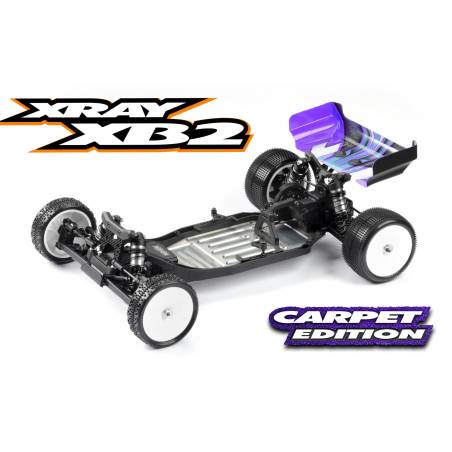 XRAY XB2C'24 - 2WD 1/10 ELECTRIC OFF-ROAD CAR CARPET - XRAY - 320015
