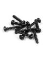 SCREW PHILLIPS 3.0x14 (10) - 905314 - XRAY