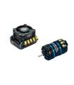 Corsatec Race Pro esc 1/10 220A + Motor 5.5T - CORSATEC