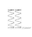 XRAY PROGRESSIVE SPRINGS - SOFT-MEDIUM - 2 STRIPES (2) - 358276 - XRA