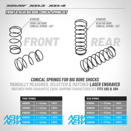 FRONT BIG BORE CONICAL SPRING-SET L42.5MM -5 DOTS (2) - XRAY - 368385