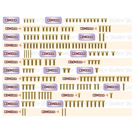 Gold Plated Steel Screw Set (175) (For SWORKZ S35-4 EVO) - TWORKS