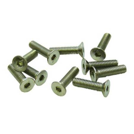 TORNILLOS M3x10mm AVELLANADO (10u.)