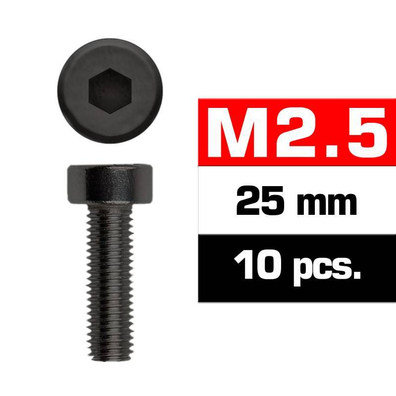 TORNILLOS M2.5x25mm CILINDRICO (10u.) TORNILLOS M2.5x25mm CILINDRICO (10u.)