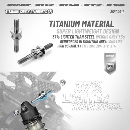 TITANIUM SCREW SHOCK PIVOT BALL WITH HEX (2)