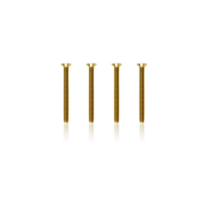 Tornillos Avellanados Dorados 3x30mm (6 uds) - TW-GSS-330C