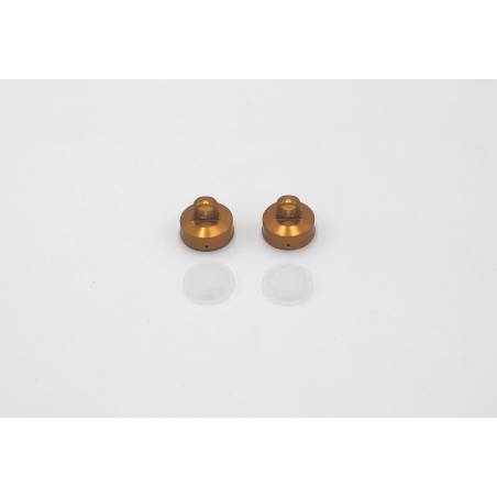 TAPONES AMORTIGUADOR FASTRACE HONEYCOMB RC8B3/3.1 WC (2) - FR6041ASWC