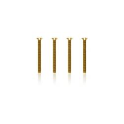 Tornillos avellanados dorados M3x30 T-Works 