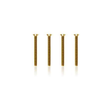 Tornillos avellanados dorados M3x30 T-Works 