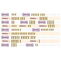 Set tornillos dorados T-Works Mugen MSB1 
