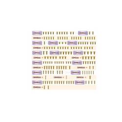 Set tornillos dorados T-Works Xray XB8 