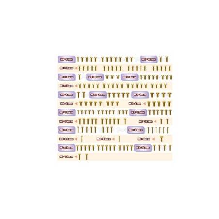 Set tornillos dorados T-Works Xray XB8 