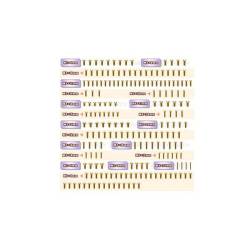 Set tornillos UFO dorados T-Works MBX8R 
