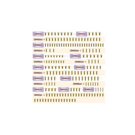 Set tornillos UFO dorados T-Works MBX8R 