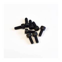 SWORKz Screw M4x10 (8 pcs) - SW105020