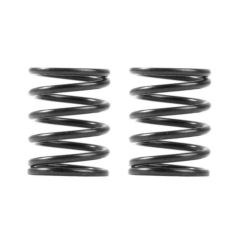 Muelles Xray 3S C5.5 (2) Xray Ref. 338085