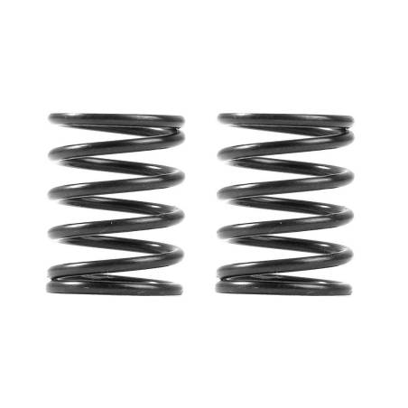 Muelles Xray 3S C5.5 (2) Xray Ref. 338085