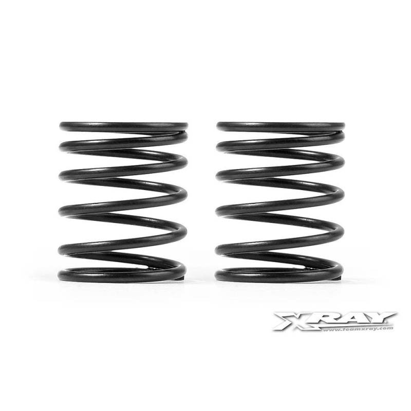 Muelles T4 4S 2.9 (2) Xray Ref. 308277