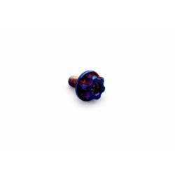 Tornillo Embrague XTR Titanio 6AL/4V